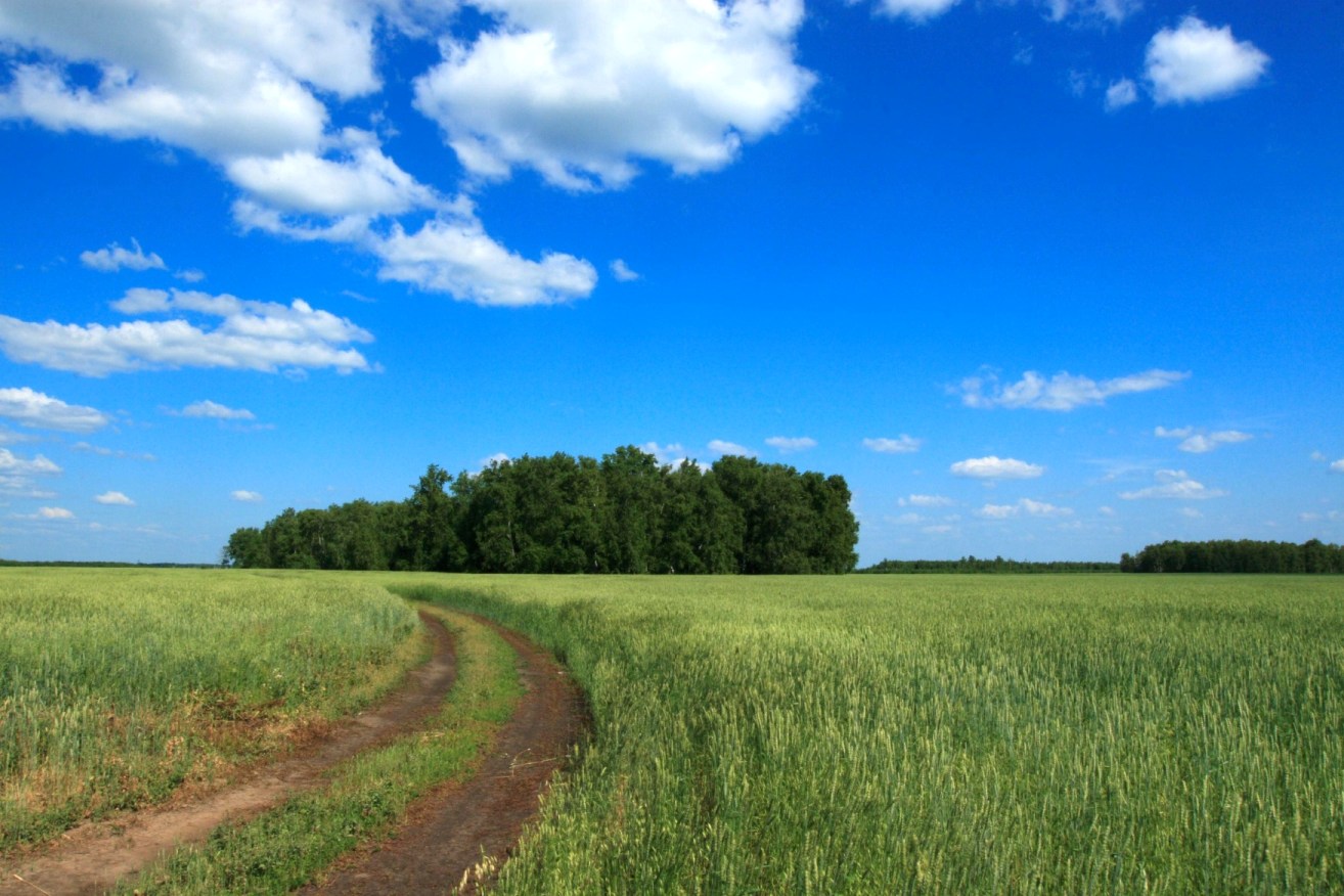 Petropavlovsk (Петропавловск)